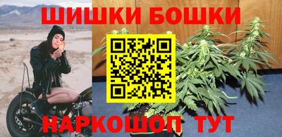 сатива Бузулук