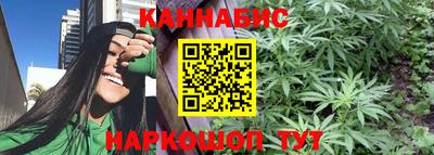 сатива Бузулук