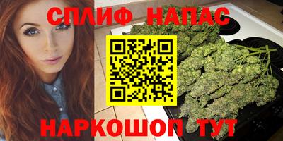 сатива Бузулук