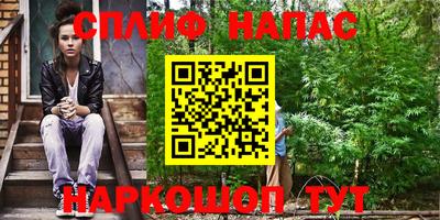 сатива Бузулук