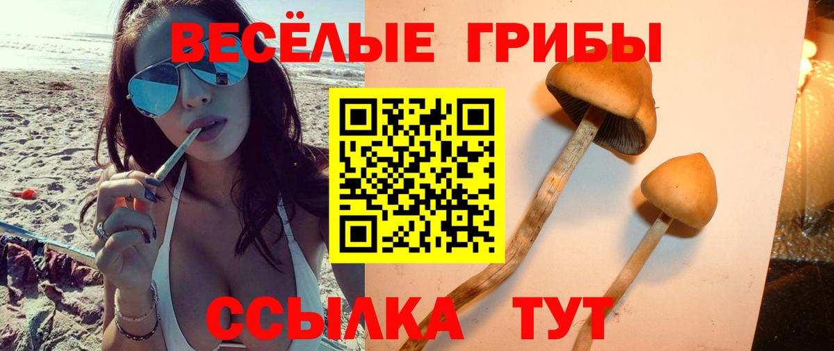 Галлюциногенные грибы прущие грибы  Вход с VPN  Луховицы 